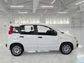 Fiat Panda AUTO SU ORDINAZIONE Bianco - thumbnail 3