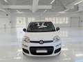 Fiat Panda AUTO SU ORDINAZIONE Bianco - thumbnail 1