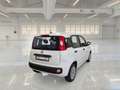 Fiat Panda AUTO SU ORDINAZIONE Bianco - thumbnail 2