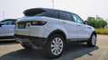 Land Rover Range Rover Evoque 2.0 td4 SE 150cv auto Bianco - thumbnail 3