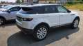Land Rover Range Rover Evoque 2.0 td4 SE 150cv auto Bianco - thumbnail 8