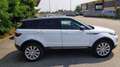 Land Rover Range Rover Evoque 2.0 td4 SE 150cv auto Bianco - thumbnail 4