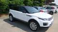 Land Rover Range Rover Evoque 2.0 td4 SE 150cv auto Bianco - thumbnail 2