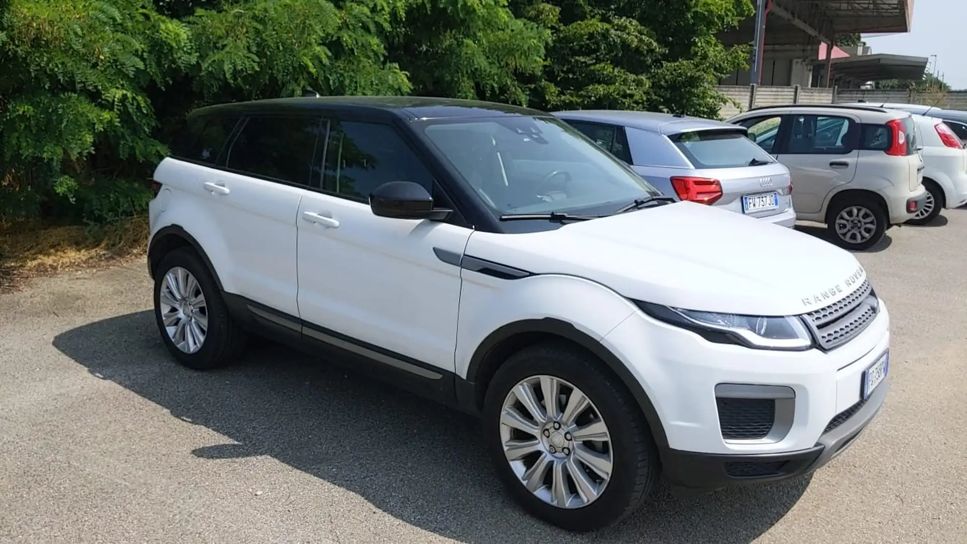 Land Rover Range Rover Evoque 2.0 td4 SE 150cv auto Bianco - 2