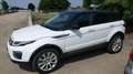 Land Rover Range Rover Evoque 2.0 td4 SE 150cv auto Bianco - thumbnail 7