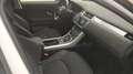 Land Rover Range Rover Evoque 2.0 td4 SE 150cv auto Bianco - thumbnail 11
