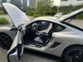 Porsche Cayman Cayman 2.9 PDK Zilver - thumbnail 1