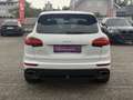 Porsche Cayenne II Platinum Edition Aut. Blanc - thumbnail 6