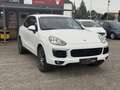 Porsche Cayenne II Platinum Edition Aut. Blanc - thumbnail 3