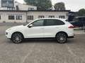 Porsche Cayenne II Platinum Edition Aut. Blanc - thumbnail 8