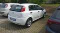 Fiat Punto 3p 1.2 SX c/SS 75cv Bianco - thumbnail 3