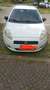 Fiat Punto 3p 1.2 SX c/SS 75cv Bianco - thumbnail 1