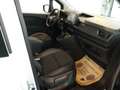 Renault Kangoo Van DK Basis dCi115 L2 MAXI Weiß - thumbnail 7