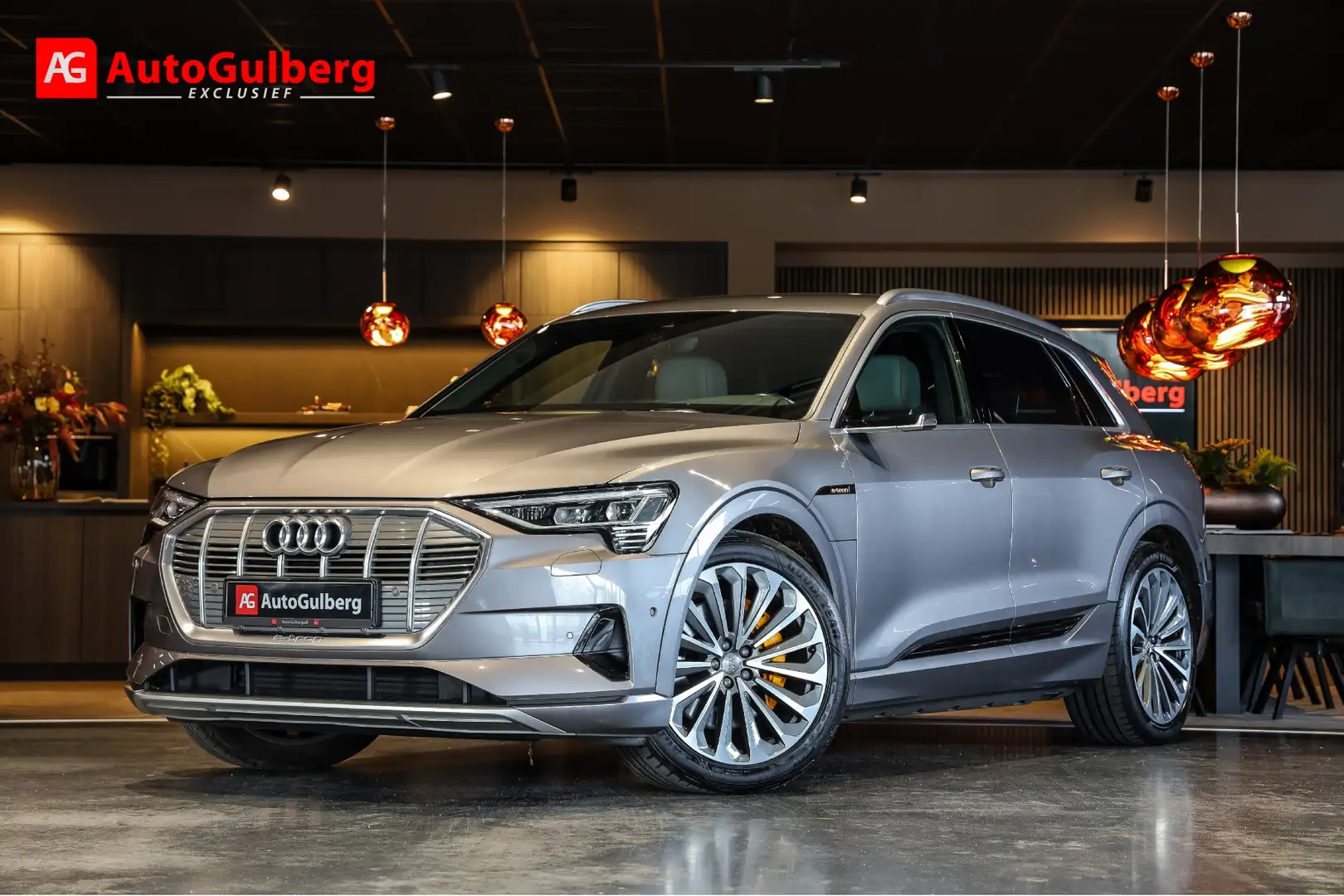 Audi e-tron 55 Quattro Advanced Pro Line Plus 95 kWh Leder Con Grey - 1