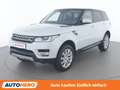Land Rover Range Rover Sport 3.0 TD V6 HSE Weiß - thumbnail 1
