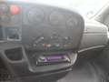 Iveco Daily 35c15 cassone fisso con gru Bianco - thumbnail 15