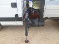 Iveco Daily 35c15 cassone fisso con gru Bianco - thumbnail 9