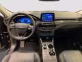 Ford Kuga 2.5 phev Vignale 2wd 225cv e-shifter Nero - thumbnail 6