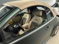 Volkswagen New Beetle New Beetle Cabrio 1.9 tdi 105cv BABAYAGA ! Verde - thumbnail 7