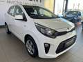 Kia Picanto 1.0B* superstaat Blanco - thumbnail 3