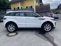 Land Rover Range Rover Evoque Range Rover Evoque SE Dynamic 2,0 TD4 Aut.*STH*PDC Blanco - thumbnail 9