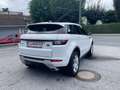 Land Rover Range Rover Evoque Range Rover Evoque SE Dynamic 2,0 TD4 Aut.*STH*PDC Blanco - thumbnail 8