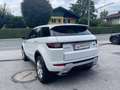 Land Rover Range Rover Evoque Range Rover Evoque SE Dynamic 2,0 TD4 Aut.*STH*PDC Blanco - thumbnail 6