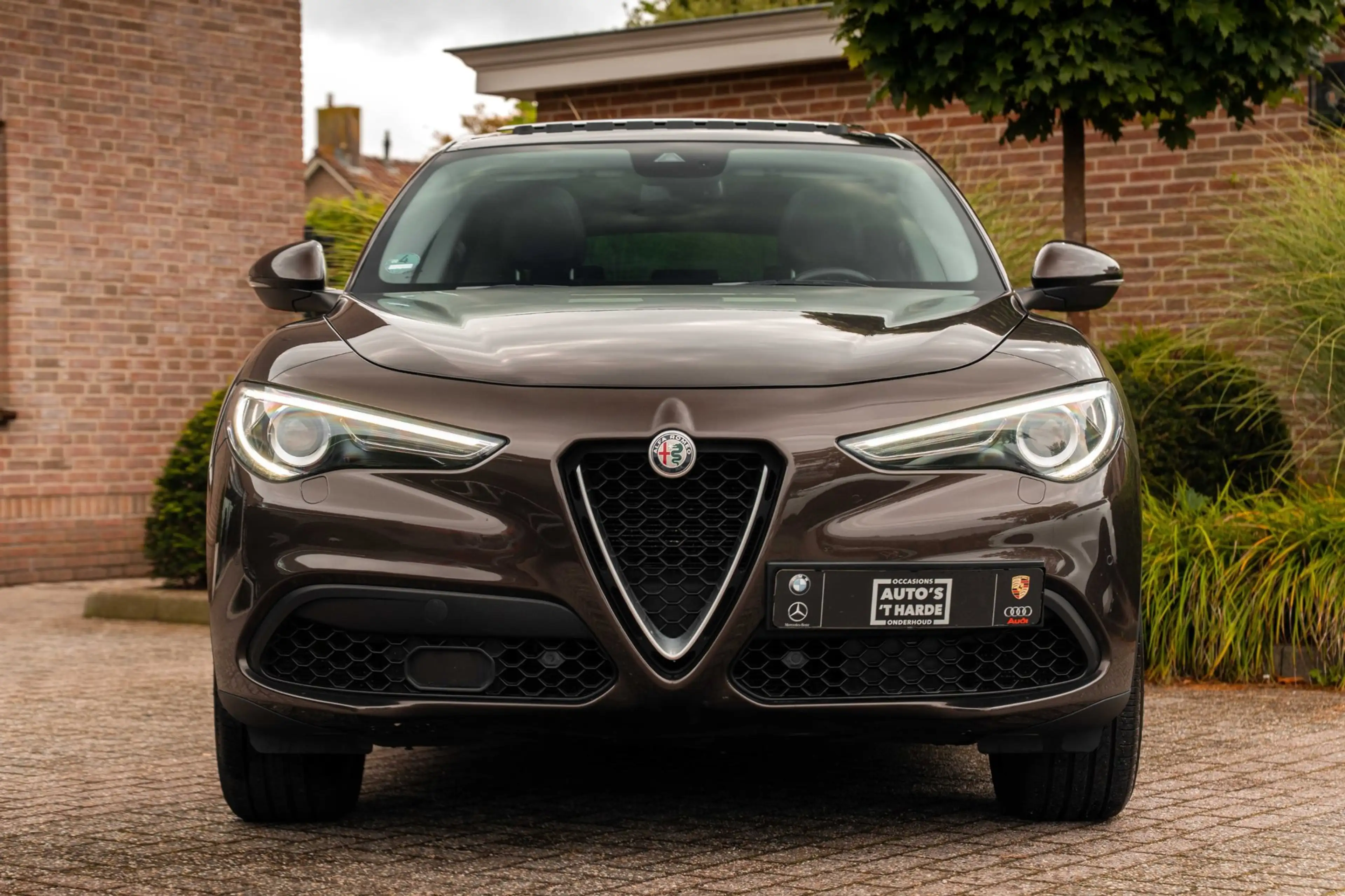 Alfa Romeo Stelvio 2.0 T AWD Super 280 PK Aut. ACC Schuifdak Harman K — photo 6