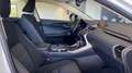 Lexus NX 300 300h Business Navigation 2WD White - thumbnail 6