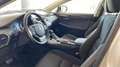 Lexus NX 300 300h Business Navigation 2WD Білий - thumbnail 12