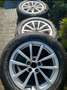 Audi A6 A6 Avant 45 TDI quattro S tronic sport Negro - thumbnail 13