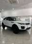 Land Rover Range Rover Evoque 2.0eD4 Pure 2WD 150 Wit - thumbnail 24