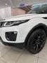 Land Rover Range Rover Evoque 2.0eD4 Pure 2WD 150 Wit - thumbnail 3