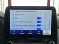 Ford Puma ST 1,5 200 PACK PERF GPS CAMERA TOIT PANORAMIQUE F Gris - thumbnail 13