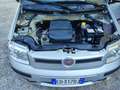 Fiat Panda 1.2 5 Posti KM 91.000 UNICO PROPRIETARIO Argent - thumbnail 11
