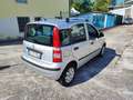 Fiat Panda 1.2 5 Posti KM 91.000 UNICO PROPRIETARIO Argent - thumbnail 23