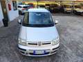 Fiat Panda 1.2 5 Posti KM 91.000 UNICO PROPRIETARIO Argent - thumbnail 29