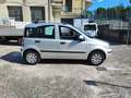 Fiat Panda 1.2 5 Posti KM 91.000 UNICO PROPRIETARIO Argent - thumbnail 16