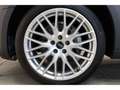 Audi A4 allroad 40 TDI quattro AHK/19''/RFK/Leder/Virt Grau - thumbnail 8