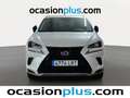 Lexus NX 300 300h Business Navigation 2WD Blanc - thumbnail 16