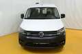 Volkswagen Caddy Kastenwagen 2,0 TDI 4MOTION AHK Regale Weiß - thumbnail 7
