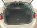 Volkswagen Passat Variant Business TDI DSG Bianco - thumbnail 11