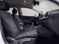 Hyundai i30 CW 1,0 T-GDI Trend Line/LED/Navi/Kamera/1.Besitz Weiß - thumbnail 35
