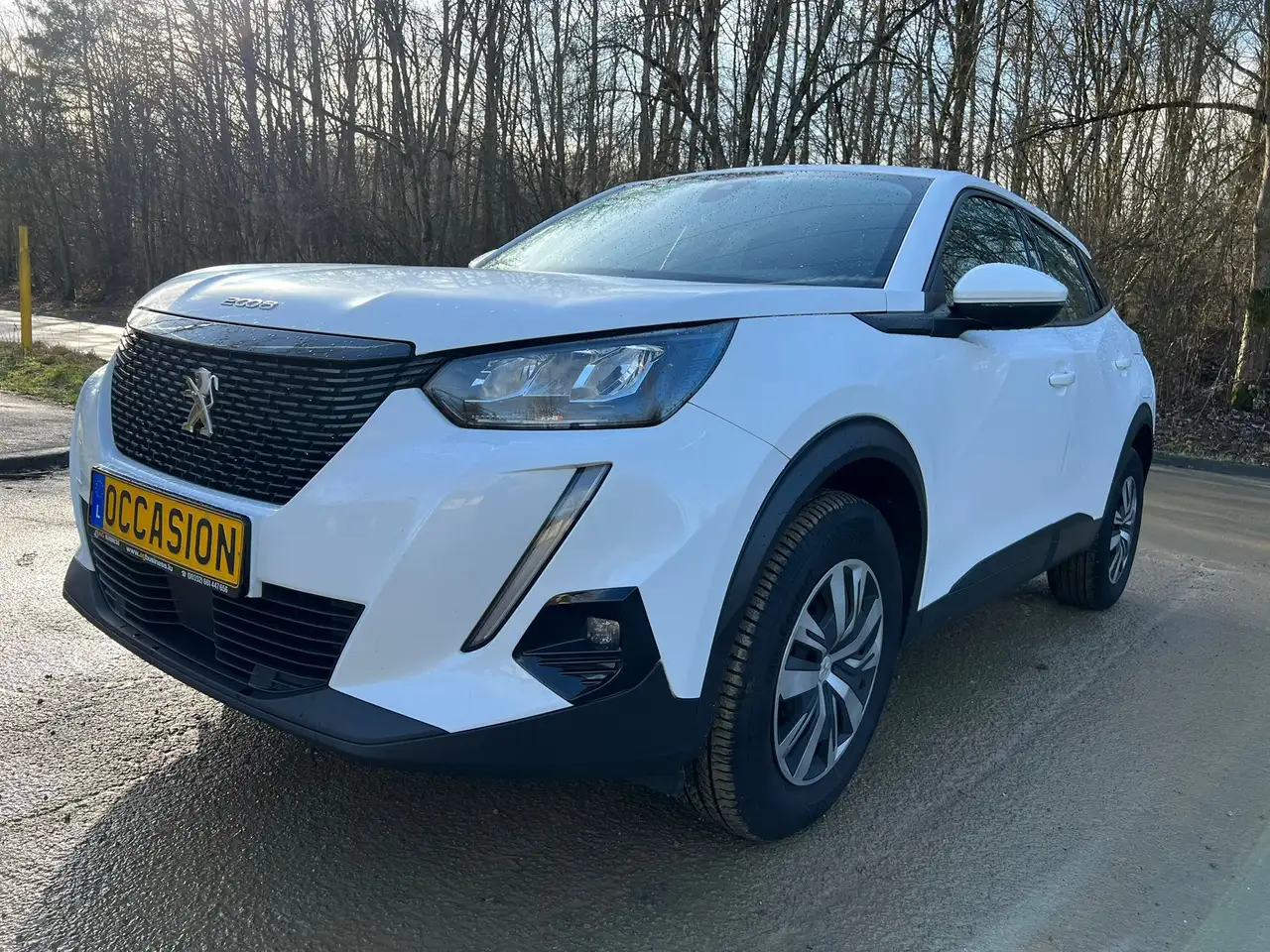 Peugeot 2008 BlueHDi 110 Allure Navi