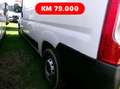 Fiat Ducato 2.3mjt 140cv L2H2 FURGONE Km 79.000 Bianco - thumbnail 8