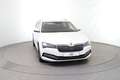 Skoda Superb Škoda Superb Kombi 2,0 TDI 4x4 Style DSG Weiß - thumbnail 8