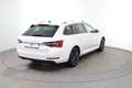 Skoda Superb Škoda Superb Kombi 2,0 TDI 4x4 Style DSG Weiß - thumbnail 6