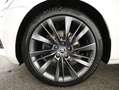 Skoda Superb Škoda Superb Kombi 2,0 TDI 4x4 Style DSG Weiß - thumbnail 9