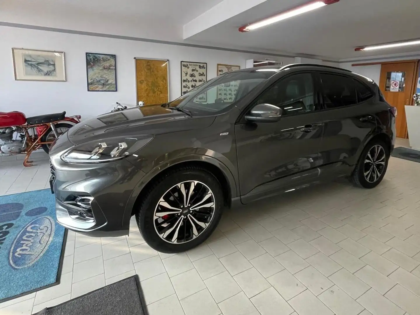 Ford Kuga Kuga 2.0 ecoblue ST-Line X awd 190cv auto Gris - 2