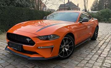 2.3 EcoBoost Fifty Five Years  ### 16000 km ###